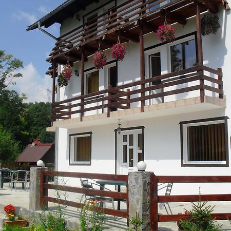 Vila Doina Branului Bran  Exterior photo