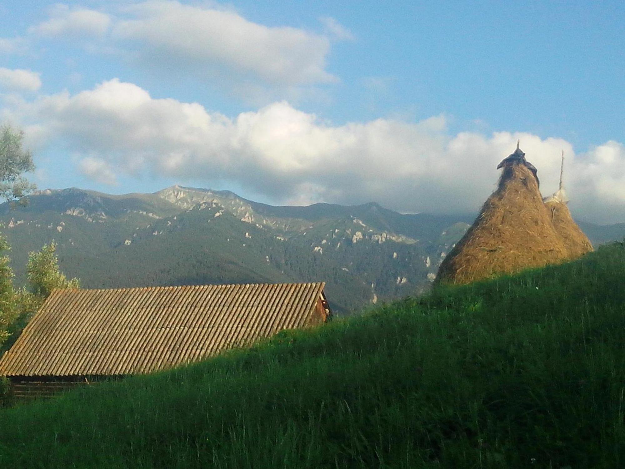 Vila Doina Branului Bran  Exterior photo
