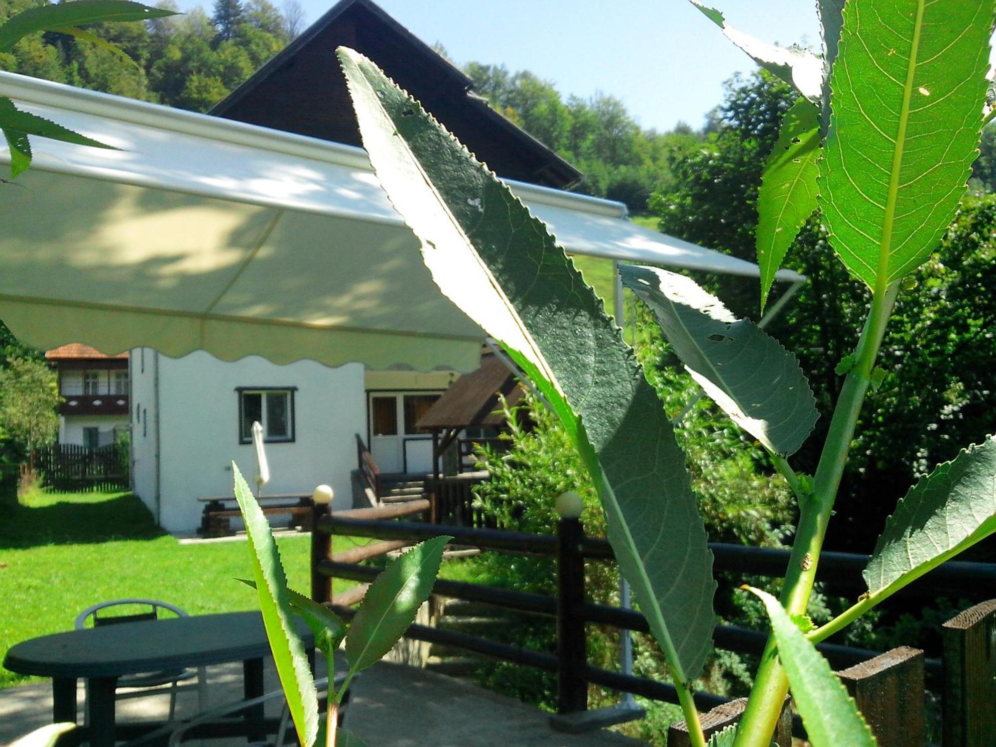 Vila Doina Branului Bran  Exterior photo